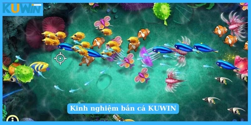 Kinh nghiệm bắn cá KUWIN