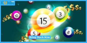 Thông tin cơ bản về rồng bạch kim chơi là trúng